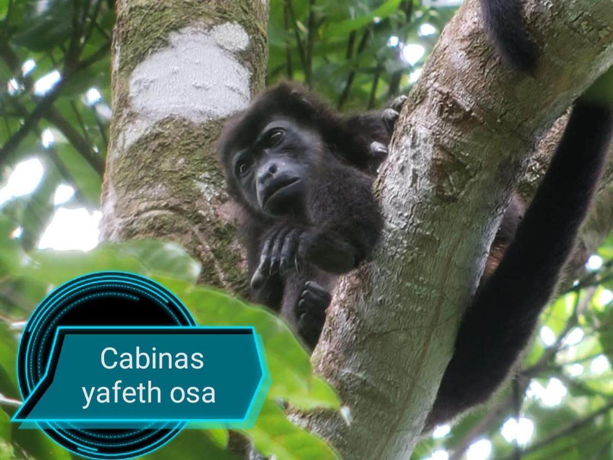 Cabins Yafeth Osa Drakes Bay Екстериор снимка