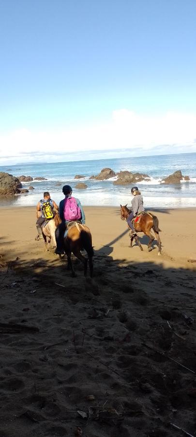 Cabins Yafeth Osa Drakes Bay Екстериор снимка