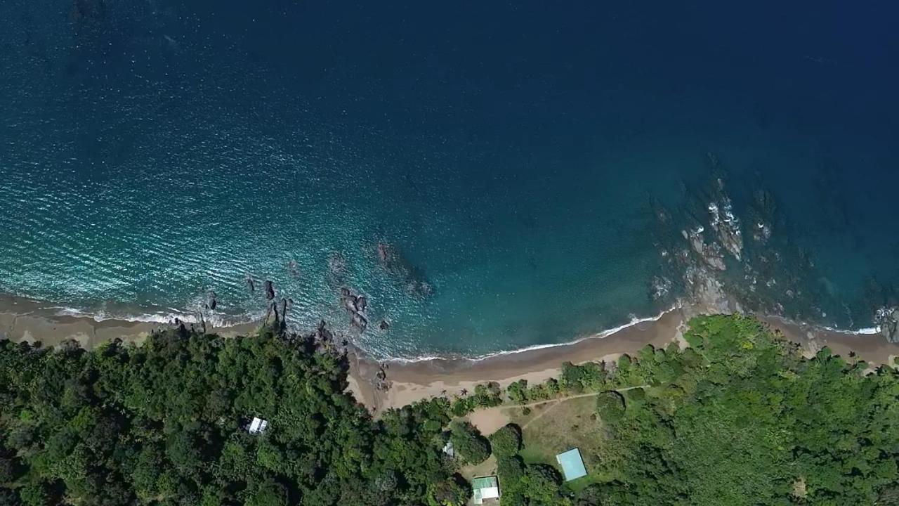Cabins Yafeth Osa Drakes Bay Екстериор снимка